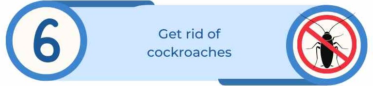 6. Get rid of cockroaches