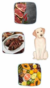 dog food