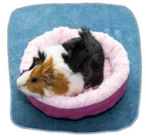 4. Bedding